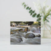 Carte Postale Rivière (Debout devant)