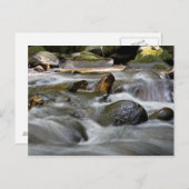 Carte Postale Rivière (Devant / Derrière)