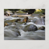 Carte Postale Rivière (Devant)