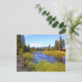 Carte Postale Rivière (Debout devant)