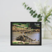 Carte Postale Rivière à Samburu (Debout devant)