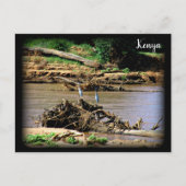 Carte Postale Rivière à Samburu (Devant)