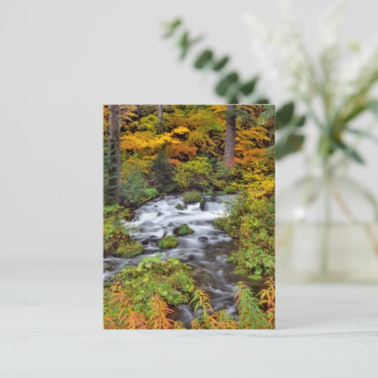 Carte Postale Rivière à travers la forêt, Automne, Oregon (Debout devant)