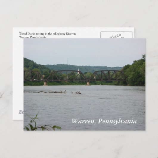 Carte Postale Rivière Allegheny à Warren, PA (carte postale) (Devant / Derrière)