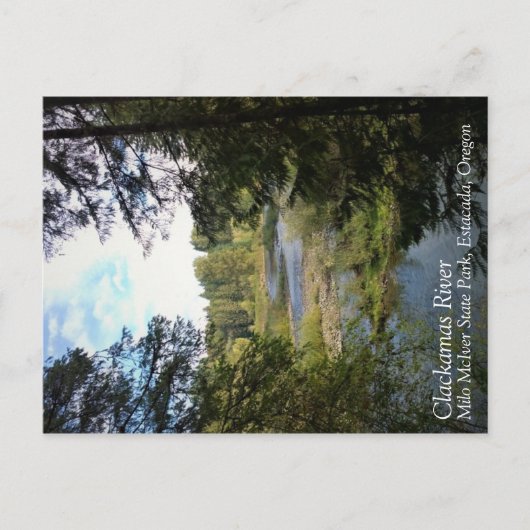 Carte Postale Rivière Clackamas, Oregon (Devant)