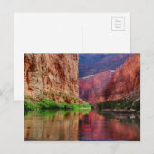 Carte Postale Rivière Colorado en Grand Canyon, AZ (Devant / Derrière)