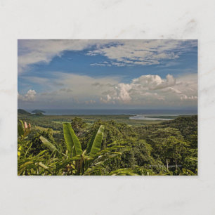 Carte Postale Rivière Daintree dans la forêt tropicale de