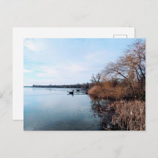 Carte Postale Rivière Dnieper avec des pousses de roseaux en Ukr (Devant / Derrière)