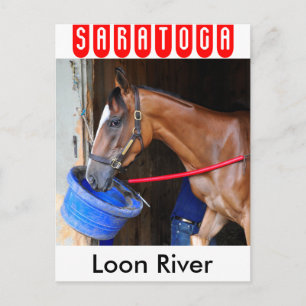 Carte Postale Rivière du Loon à Saratoga