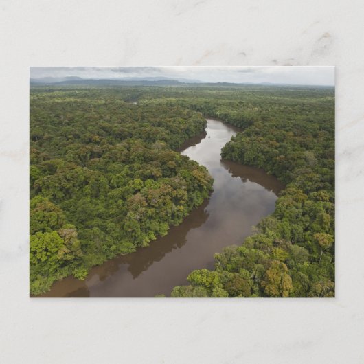 Carte Postale Rivière Essequibo, rivière la plus longue du Guyan (Devant)