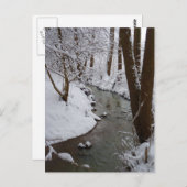 Carte Postale Rivière forestière gelée (Devant / Derrière)