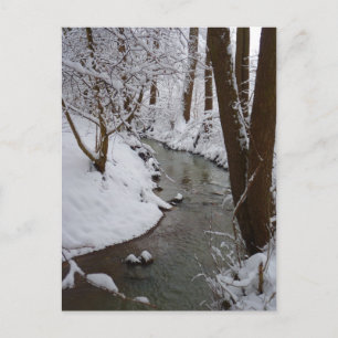 Carte Postale Rivière forestière gelée