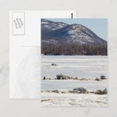 Carte Postale Rivière gelée (Devant / Derrière)