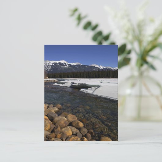 Carte Postale Rivière Icy Athabasca (Debout devant)