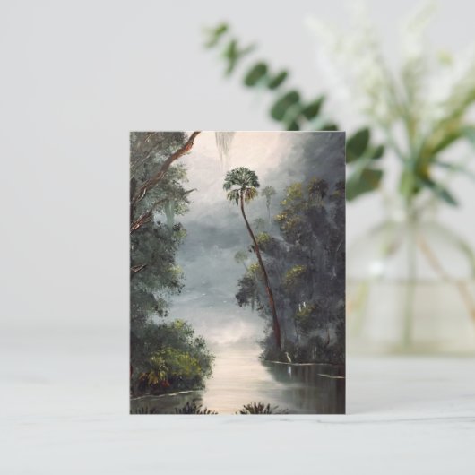 Carte Postale Rivière la Floride de Tomoka (Debout devant)