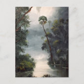 Carte Postale Rivière la Floride de Tomoka (Devant)