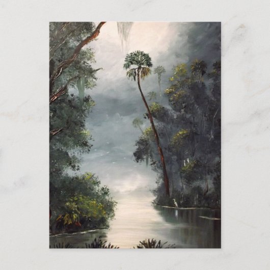 Carte Postale Rivière la Floride de Tomoka (Devant)