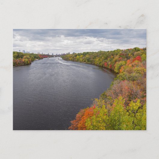 Carte Postale rivière mississippi et rives boisées à minneapolis (Devant)