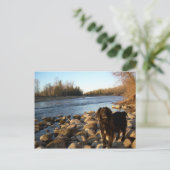 Carte Postale Rivière Mississppi - Bonjour (Debout devant)