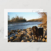 Carte Postale Rivière Mississppi - Bonjour (Devant / Derrière)