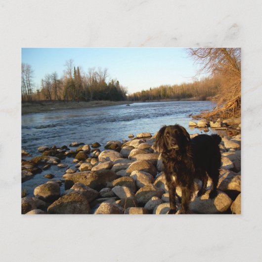 Carte Postale Rivière Mississppi - Bonjour (Devant)