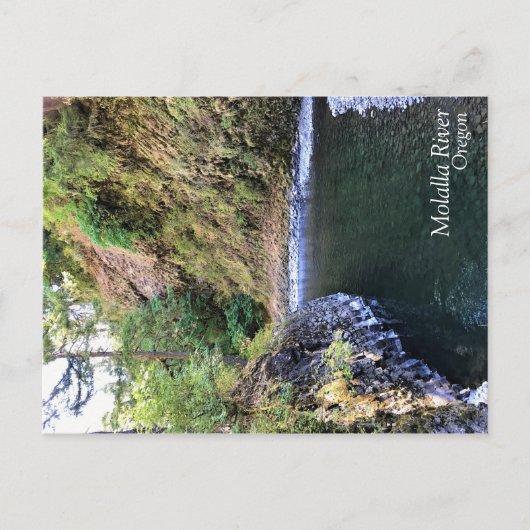 Carte Postale Rivière Molalla, OR (Devant)