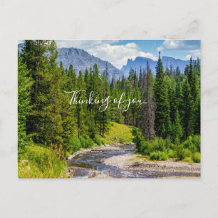 Carte postale : Rivière North Fork Shoshone, en pe
