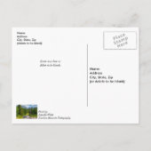 Carte postale : Rivière North Fork Shoshone, en pe (Dos)