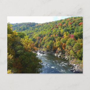 Carte Postale Rivière Ohiopyle en automne II Pennsylvanie Automn