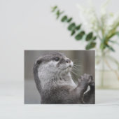 Carte Postale Rivière Otter (Debout devant)