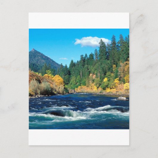 Carte Postale Rivière Rogue Forêt Siskiyou Oregon (Devant)
