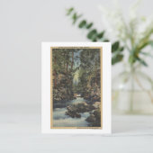 Carte Postale Rivière Rogue, Oregon - Haute Gorge Vue du fleuve (Debout devant)