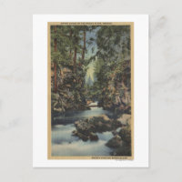 Rivière Rogue, Oregon - Haute Gorge Vue du fleuve