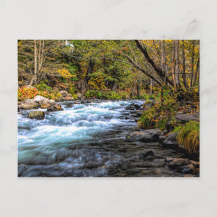 CARTE POSTALE RIVIÈRE SACRAMENTO