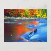 Carte Postale Rivière Swift reflétant les couleurs d'automne (Devant)