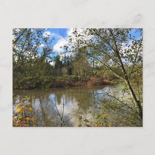 Carte Postale Rivière Tualatin, Oregon (Devant)