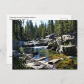 Carte Postale Rivière Tuolumne à Tuolumne Meadows, Yosemite, CA (Devant / Derrière)
