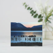 Carte Postale Rivière Twilight (Debout devant)