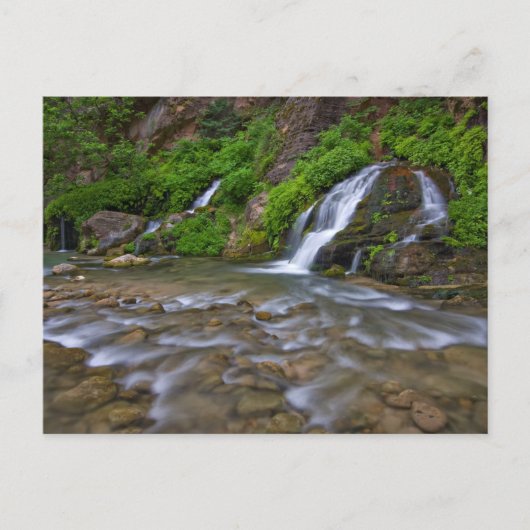 Carte Postale Rivière Vierge Big Springs | Parc national de Zion (Devant)