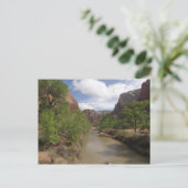 Carte Postale Rivière Virgin au printemps dans le parc national (Debout devant)