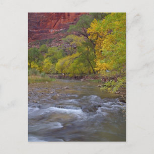Carte Postale Rivière Virgin Près De L'Extrémité Où Les Étroits
