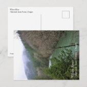 Carte Postale Rivière Wilson, OU (Devant / Derrière)