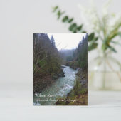 Carte Postale Rivière Wilson, OU (Debout devant)