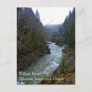 Carte Postale Rivière Wilson, OU