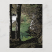 Carte Postale Rivière Winding (Devant)