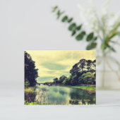 Carte Postale Rivières et criques de l'île Tybee (Debout devant)