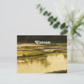 Carte Postale Riz Paddy (Debout devant)