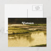 Carte Postale Riz Paddy (Devant / Derrière)