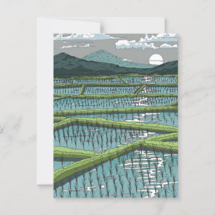 Carte Postale Rizière chinoise