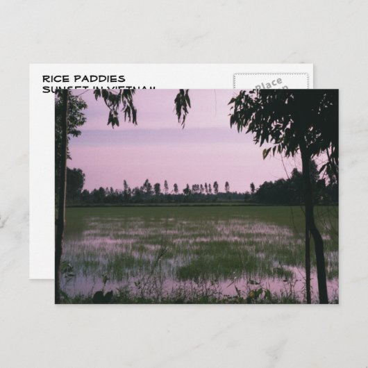 Carte Postale Rizières (Devant / Derrière)